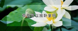 荷花可以放卧室吗,第1图