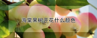 海棠果树开花什么颜色,第1图