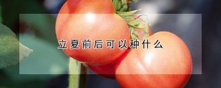 立夏前后可以种什么,第1图