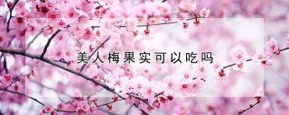 美人梅果实可以吃吗,第1图