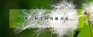 其它种子的传播方法,第1图