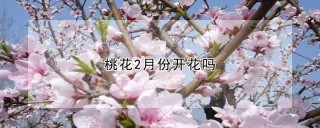 桃花2月份开花吗,第1图