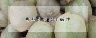 哪些水果属于碱性,第1图