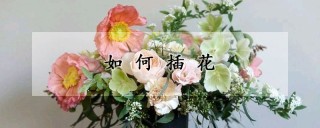 如何插花,第1图