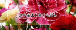 送母亲康乃馨什么颜色,第1图