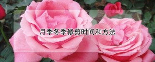 月季冬季修剪时间和方法,第1图