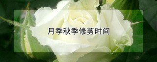 月季秋季修剪时间,第1图