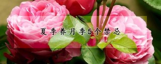 夏季养月季5个禁忌,第1图