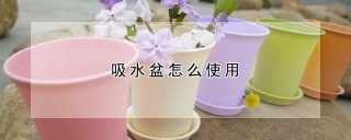 吸水盆怎么使用,第1图