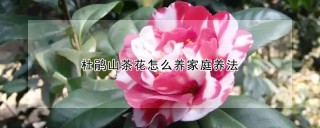 杜鹃山茶花怎么养家庭养法,第1图