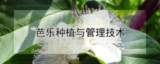 芭乐种植与管理技术,第1图