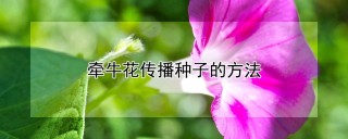 牵牛花传播种子的方法,第1图