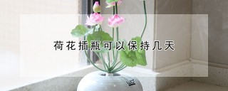 荷花插瓶可以保持几天,第1图