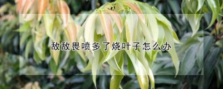 敌敌畏喷多了烧叶子怎么办,第1图