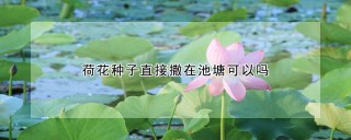 荷花种子直接撒在池塘可以吗,第1图