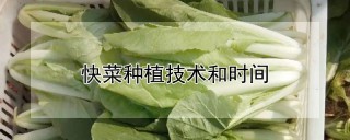 快菜种植技术和时间,第1图