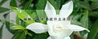 插栀子花水里放什么活得久,第1图