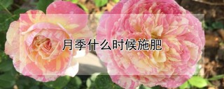 月季什么时候施肥,第1图