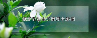 栀子花生虫了家用小妙招,第1图