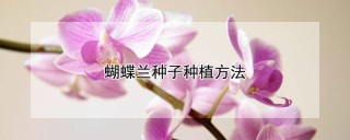 蝴蝶兰种子种植方法,第1图